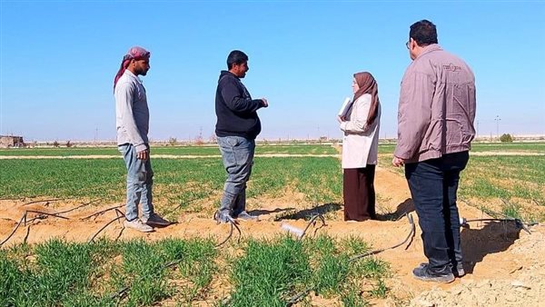 مبادرة اسأل واستشير