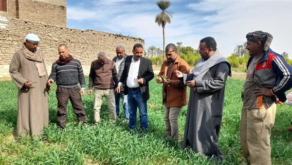 جانب من الحملة في