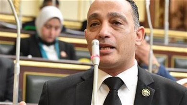  النائب فريدي البياضي