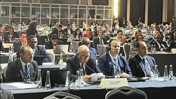 وزير الكهرباء