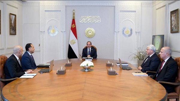 اجتماع الرئيس السيسي