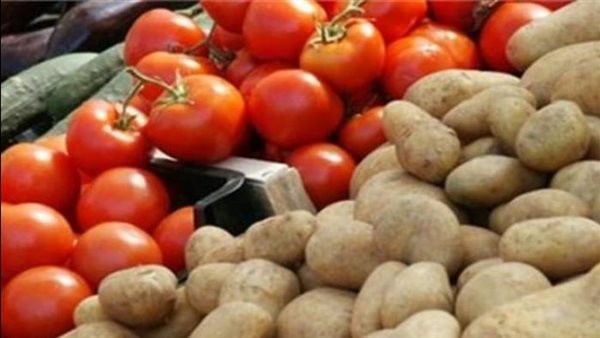 محصول البطاطس والطماطم