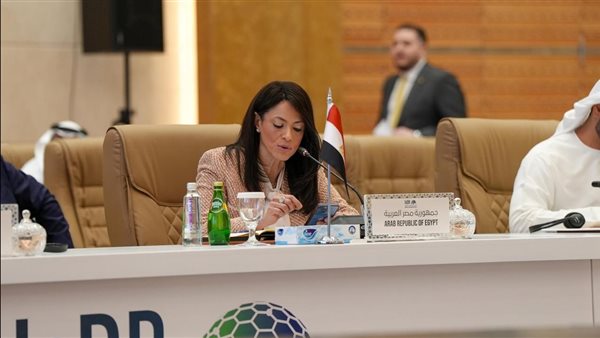 وزيرة التخطيط