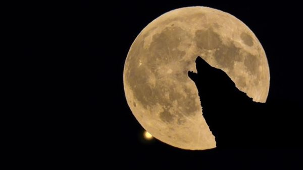 ظاهرة قمر الذئب 2025