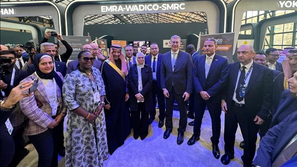 المهندس كريم بدوى