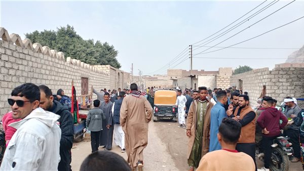 صورة توضيحية 