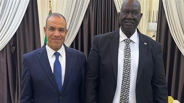 وزير الخارجية المصري