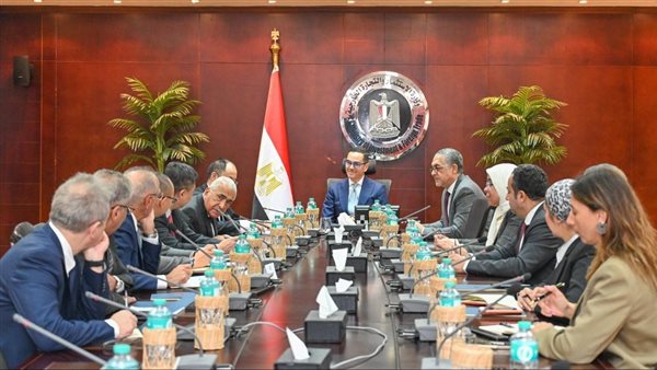 وزير الاستثمار