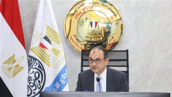 المهندس محمد شيمي