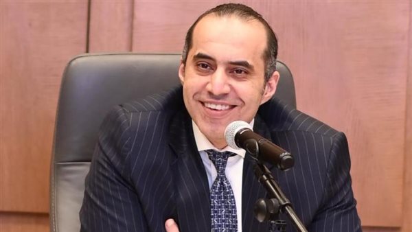 المستشار محمود فوزي