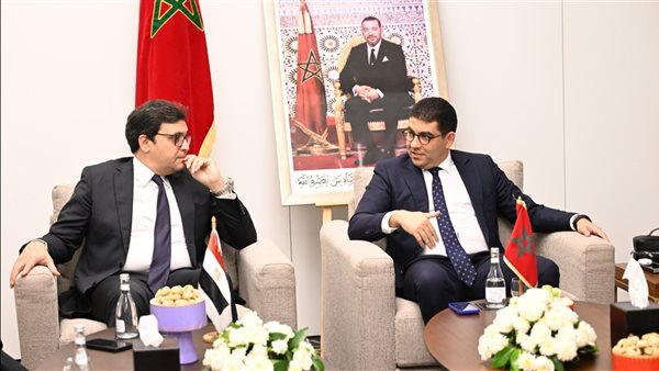 لقاء وزير الثقافة