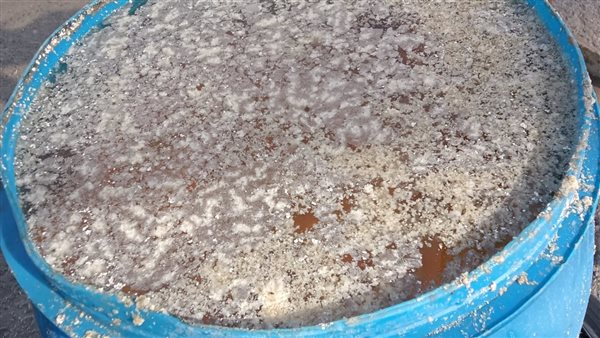 جانب من المضبوطات