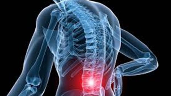  العمود الفقري