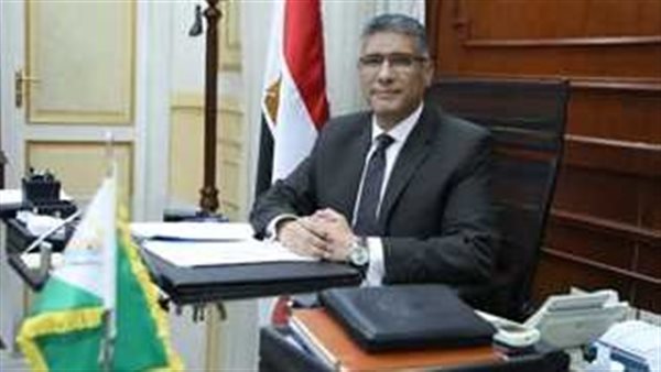  الدكتور مجدي حمزة