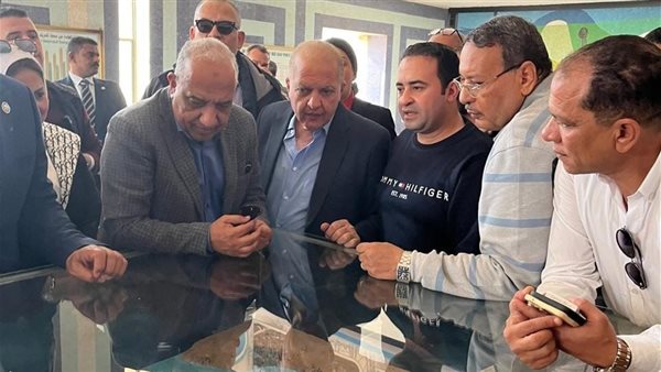 وزير الكهرباء