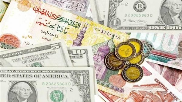 استقرار سعر الدولار