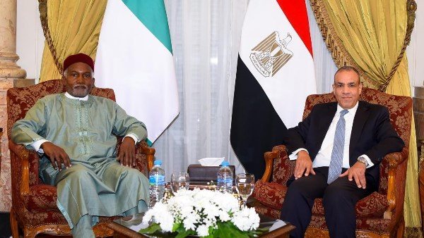 وزير الخارجية المصري