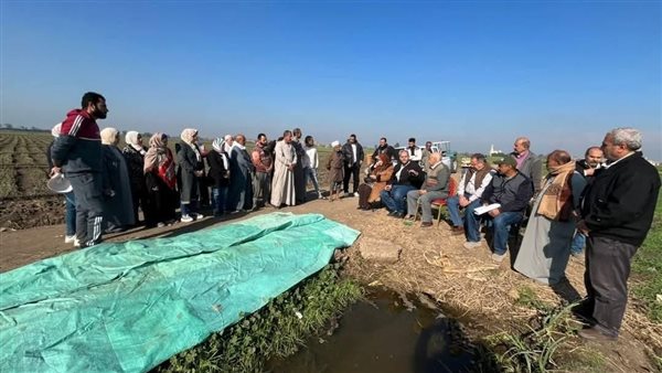  تقديم الدعم الفني