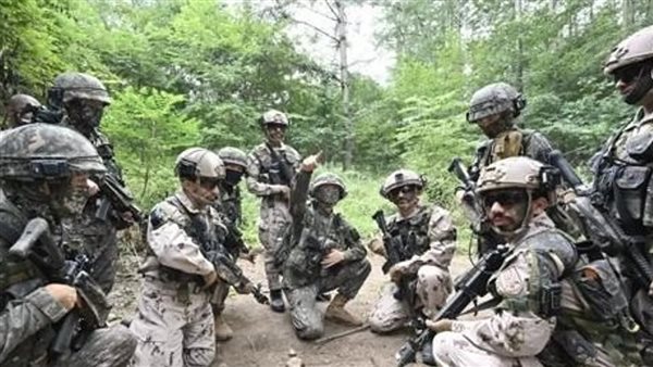 تدريبات مشتركة