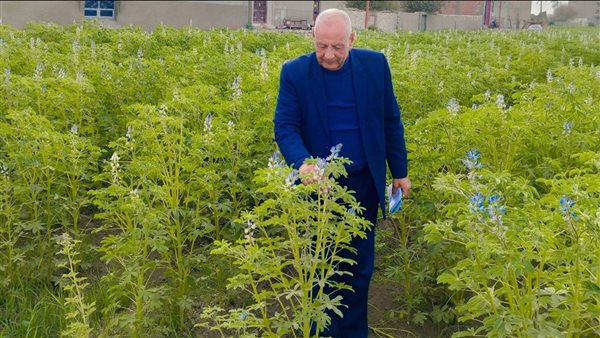 محافظ أسيوط