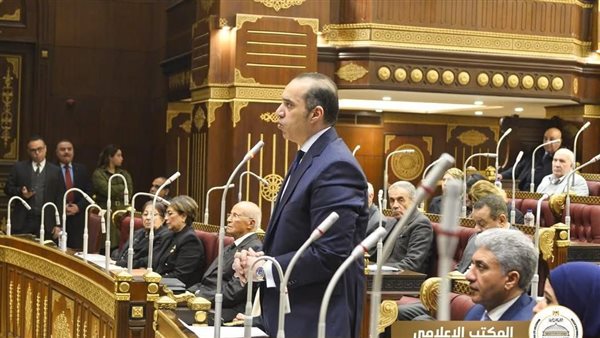 المستشار محمود فوزي