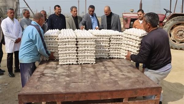 مشروعات الدواجن المركزية