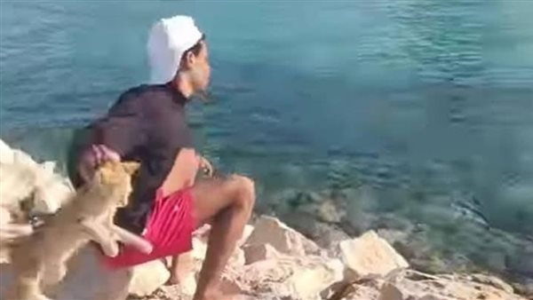 القاء قطه في بحر