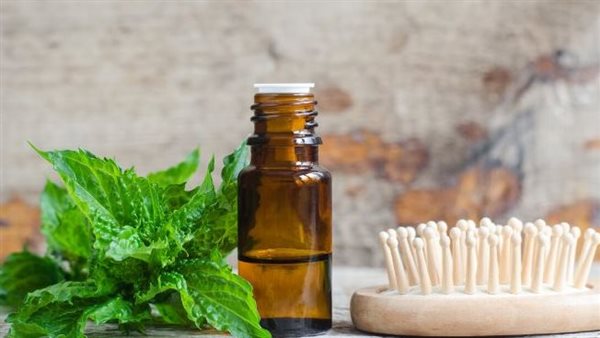 زيت النعناع للشعر