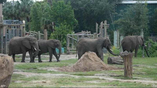 موعد افتتاح حديقة