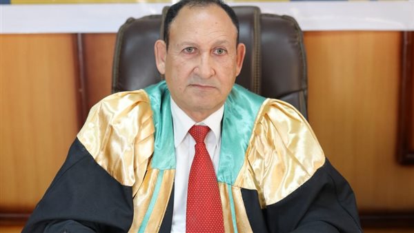 نائب رئيس مجلس الدولة