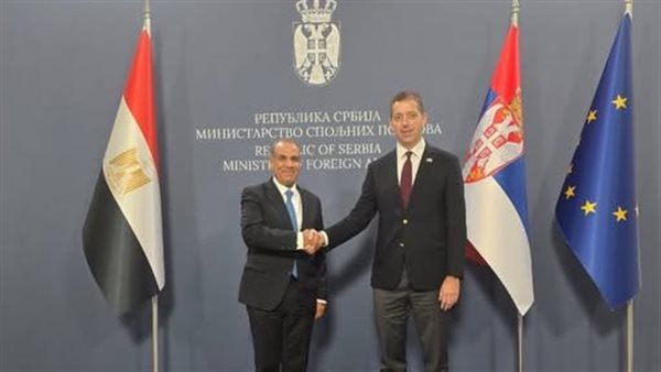 لقاء وزير الخارجية