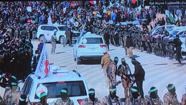 الصليب الاحمر 