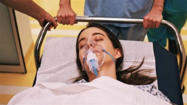 مسلسل الطائر الرفراف