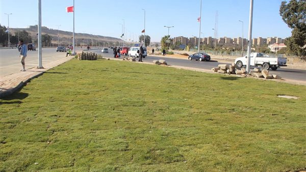 جانب من الحدث