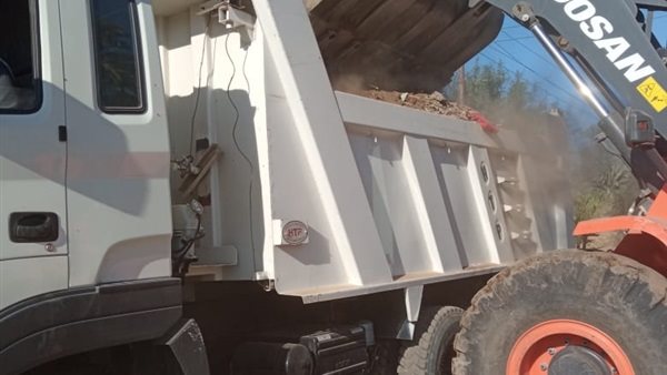 صورة من الحلمة 