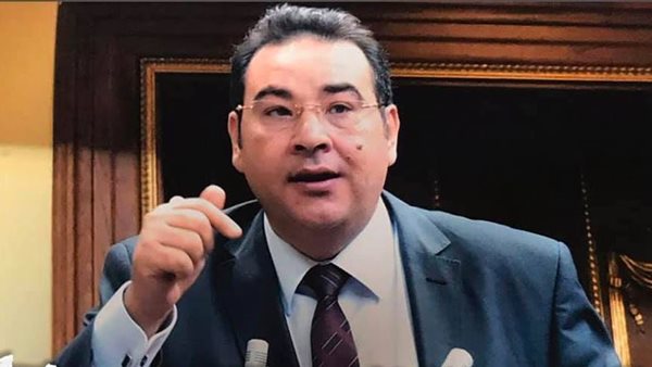  إيهاب الخولي، عضو