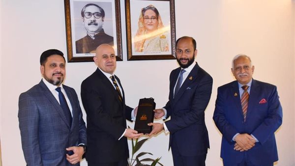 هيثم غباشى، سفير