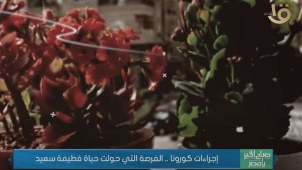 صباح الخير يا مصر