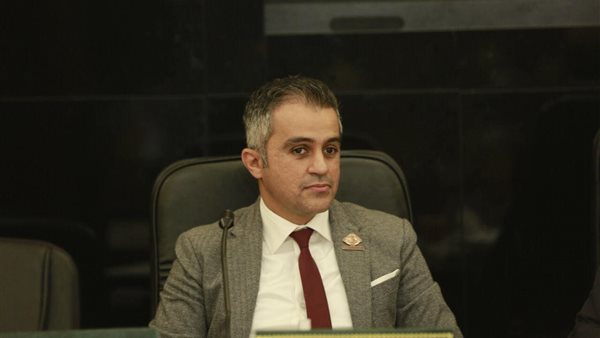 النائب أحمد فتحي،