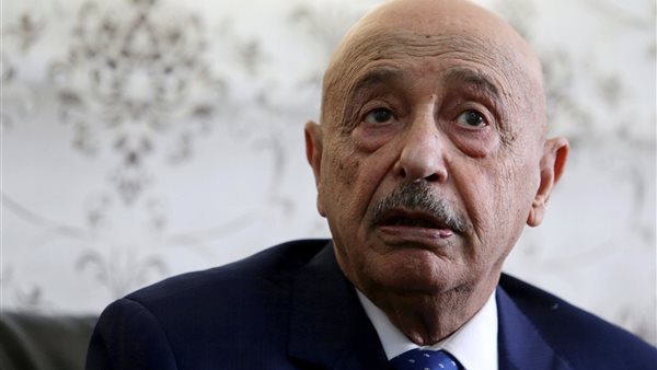 رئيس مجلس النواب