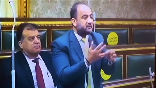 النائب حاتم عبد العزيز