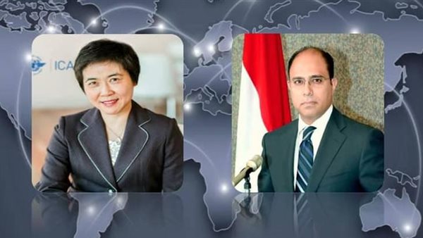 السفير أحمد أبو زيد