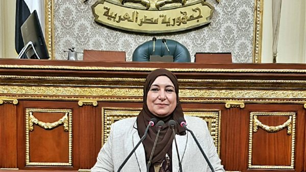 النائبة سحر العشري