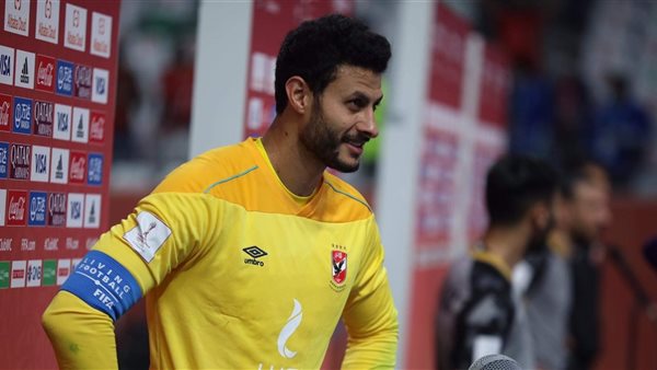 محمد الشناوي 