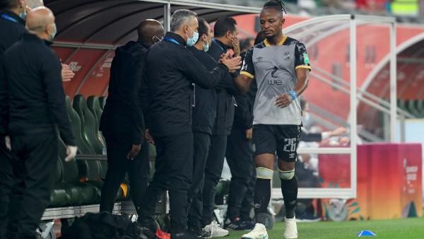 والتر بوليا