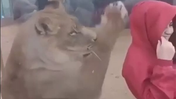 جانب من الفيديو 