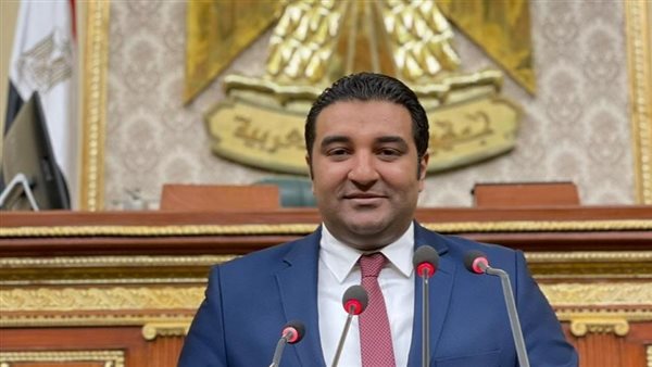 النائب محمود عصام،