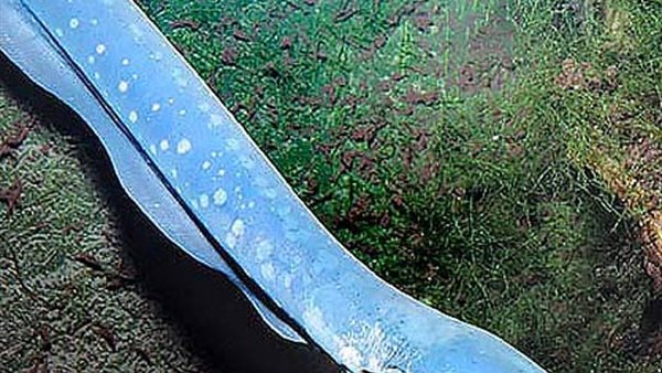 صورة أرشيفية