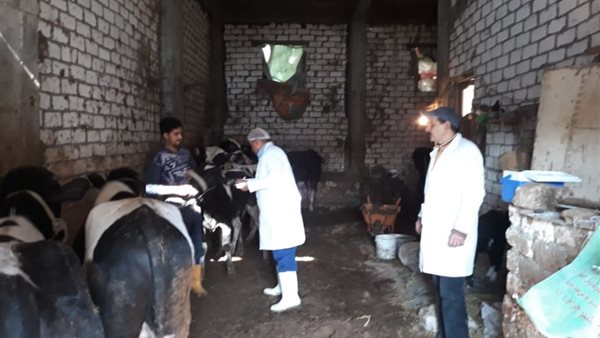 صورة ارشيفية تحصين