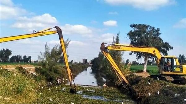 جانب من الحملة